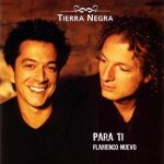 Para ti - flamenco nuevo