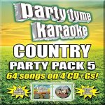 Party tyme karaoke - country party pack 5 [4 cd][64 - song party pack]