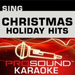 Priddis karaoke multiplex 5x5 cdg christmas holiday hits