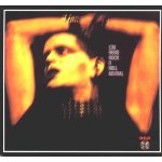 Rock 'n' roll animal