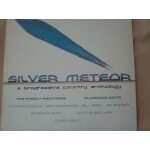 Silver meteor