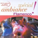 Special ambiance : flamenco