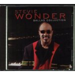 Stevie wonder