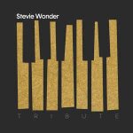 Stevie wonder tribute - varios