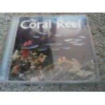 The coral reef