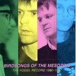 The fossil records : 1980 - 1987