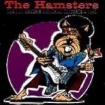 The jimi hendrix memorial concerts 1995