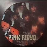 The pipper at the gates of dawn (picture lp, brazil)