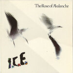 The rose of avalanche  ; ice ; (33t)