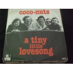 A tiny little love song / you're in my life
