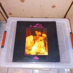 Vivaldi les 4 saisons - vox musicalis - vinyle 33 tours