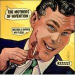 Weasels ripped my flesh - sleeve aged