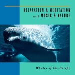 Whales of pacific: relaxation & meditation 3