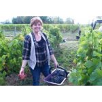 Cadeau de ftes des mres. adoptez des pieds de vigne!