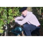 Cadeau de fêtes des pères. adoptez des pieds de vigne! Cadeau de fêtes des pères. adoptez des pieds de vigne!