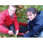 Cadeau saint valentin. adoptez des pieds de vigne ! Cadeau saint valentin. adoptez des pieds de vigne !