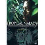9 dvd  ; films d'asie du sud - est ; : tropical malady, vanishing point, mundane history, bi n'aie pas ...
