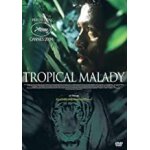 9 dvd  films d'asie du sud - est  : tropical malady, vanishing point, mundane history, les gens de la ...