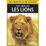 Dans l'arene avec les lions - national geographic
