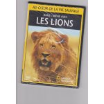 Dans l arene avec les lions national geographique Dans l arene avec les lions national geographique