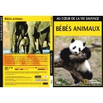Bbs animaux : au coeur de la vie sauvage - dvd national geographic 2008 - polygram collections
