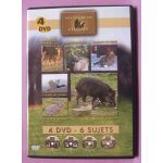 Mes plus belles chasses - - 4 dvd - 6 sujets - ben j productions - 2000 dayaiza