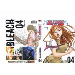 Bleach the sunstitute 04