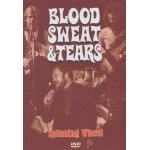 Blood sweat & tears - spinning wheel