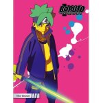 Boruto: naruto next generations - the vessel [dvd] full frame, eco amaray cas