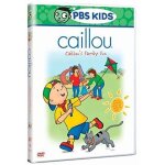 Caillou: caillou's family fun [dvd] [region 1] [us import] [ntsc]