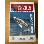 Cassette vhs : baleines et cachalots plante cousteau : la grande aventure de la mer dure : 50 min editions ...