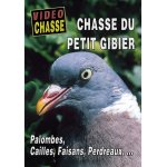 Chasse du petit gibier - palombes, faisans, perdreaux. . .