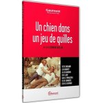 Un chien dans un jeu de quilles Un chien dans un jeu de quilles