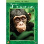 Chimpanzs (chimpanzee)