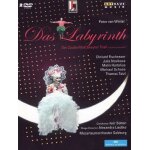 Das labyrinth part two of the magic flute mozart - 2 dvd - flute enchantee - salburg