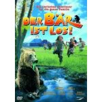 Der b�r ist los