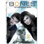 Dvd coffret bones saison 6
