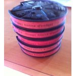 Film pathe baby 9, 5mm  doggy bonne d enfant