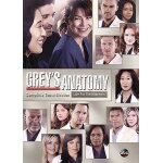 Grey's anatomy: the complete 10th season