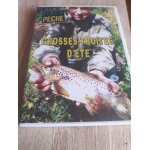 Grosses truites d'été Grosses truites d'été