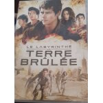 Lot de 3 dvd aventure le labyrinthe de la terre brle, death race et mr et mrs smith