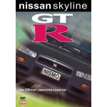 Nissan skyline story