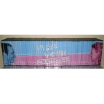 Rare: l'intgrale de la srie tv un gars une fille, la totale en 51 dvds (50 + 1, avec jean dujardin) ...