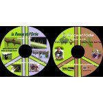 La ronce et l'ortie, 2 dvd episodes 11 a 35