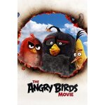 The angry birds movie [dvd] ac - 3 / dolby digital, dolby, dubbed, subtitled, wid