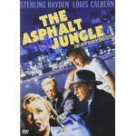 The asphalt jungle The asphalt jungle