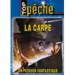 Top pche - la carpe, un poisson fantastique
