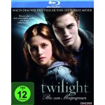 Twilight - biss zum morgengrauen