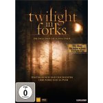 Twilight in forks