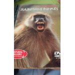 La valle des babouins dors